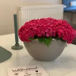 Ruhrperle 3 * Essen